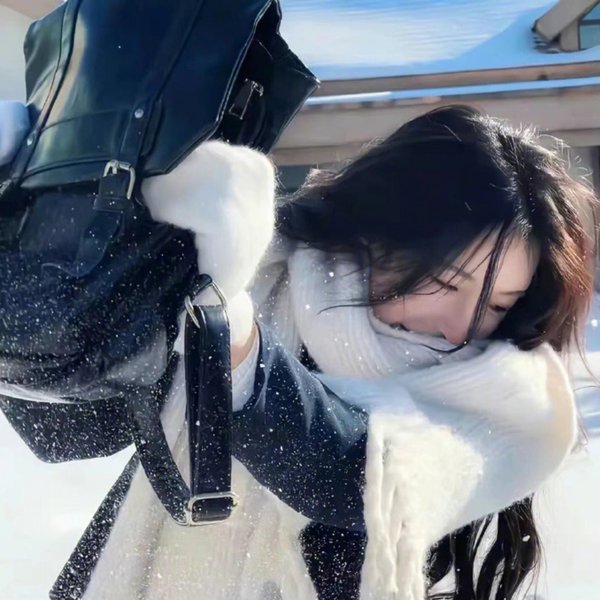 龙翔凤舞雪山盟
