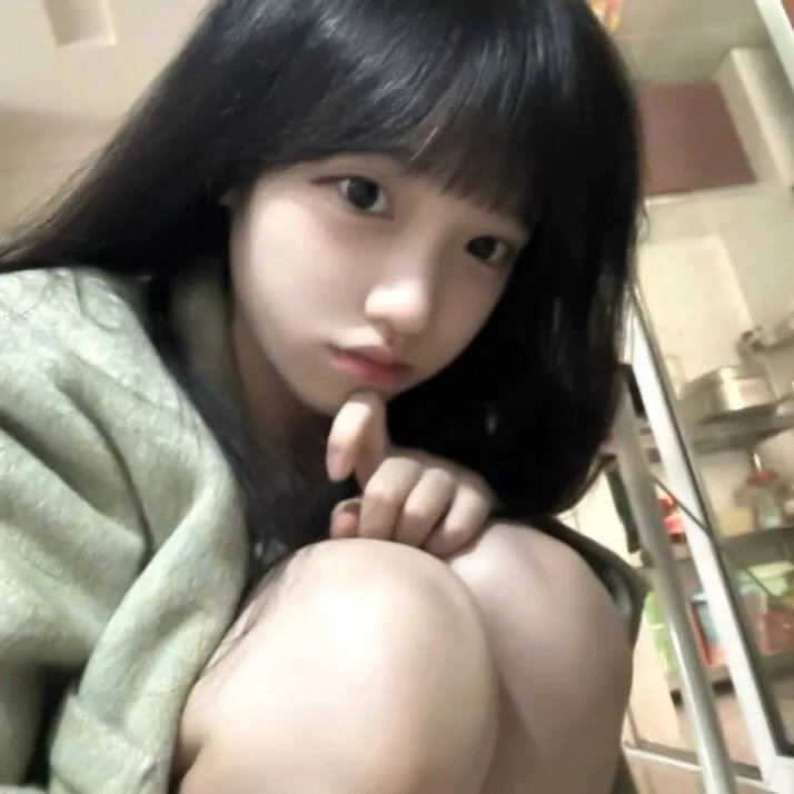 战鸽总动员